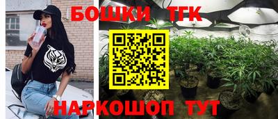 мет Кингисепп