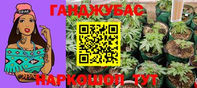 эйфоретик Кимры
