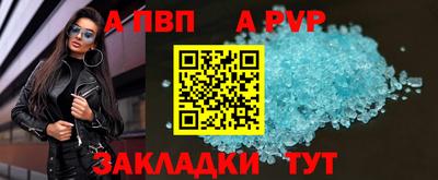 мет Кингисепп