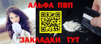 мет Кингисепп