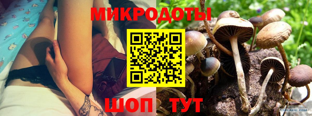 Галлюциногенные грибы Psilocybe  Вход с VPN  Кудрово 
